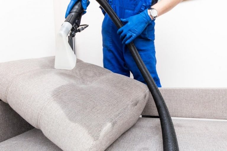 Carpet Cleaning Cairnes cleaner steam cleaning a sofa cushion