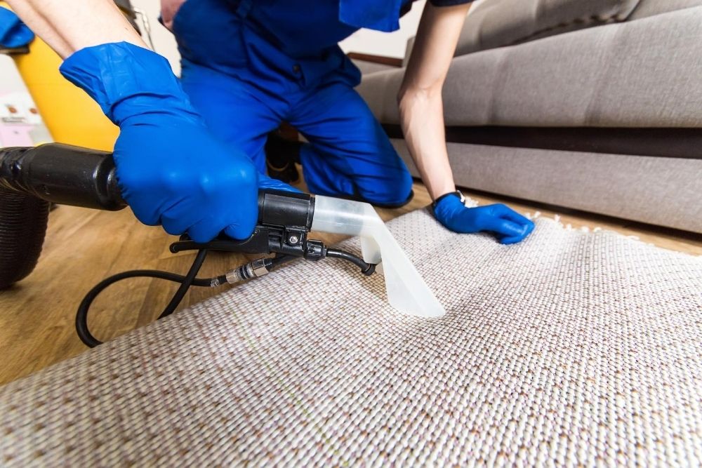 Steam cleaning a rug carpet by a professional cleaner