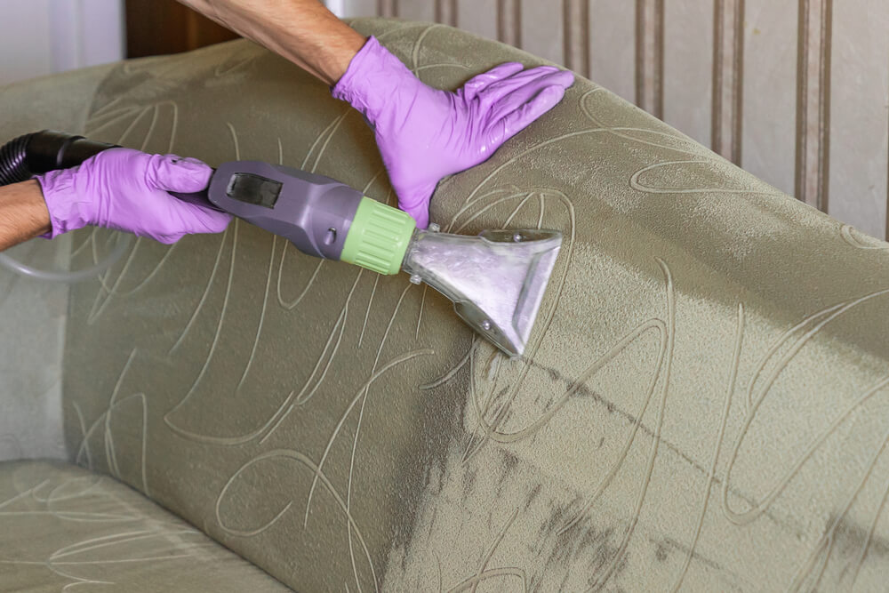 Person Steam Cleaning soft fabric Upholstery couch
