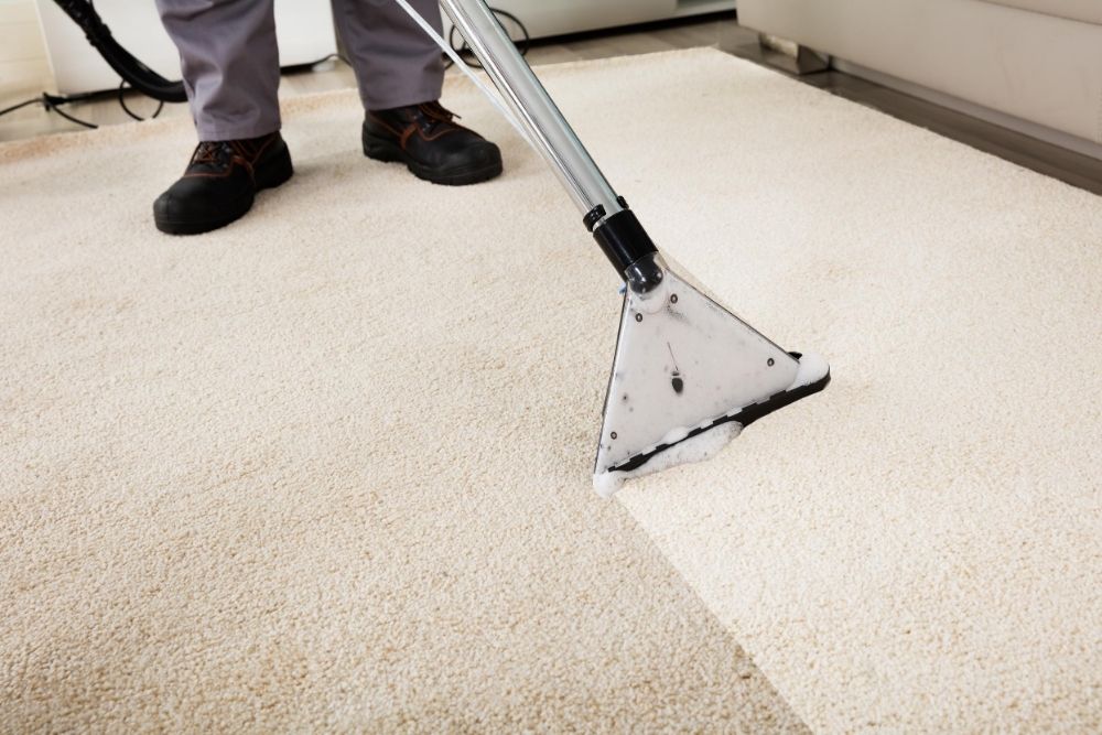 Steam cleaning a carpet with professional equipment in carins