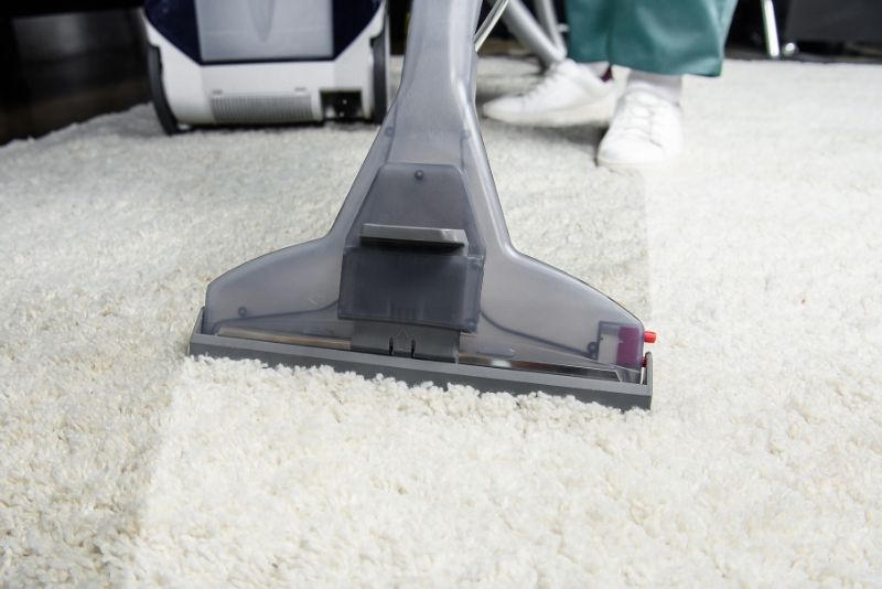 carpet cleaning services in Port Douglas