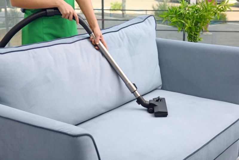 professional carpet cleaners in Northern Beaches doing upholstery cleaning service